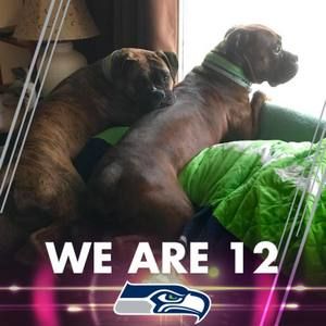 Meet your Posher, Deb